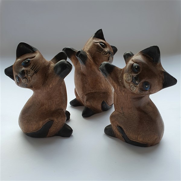 Katze, stehend