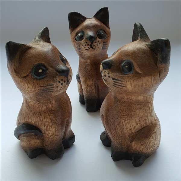 Katze, stehend