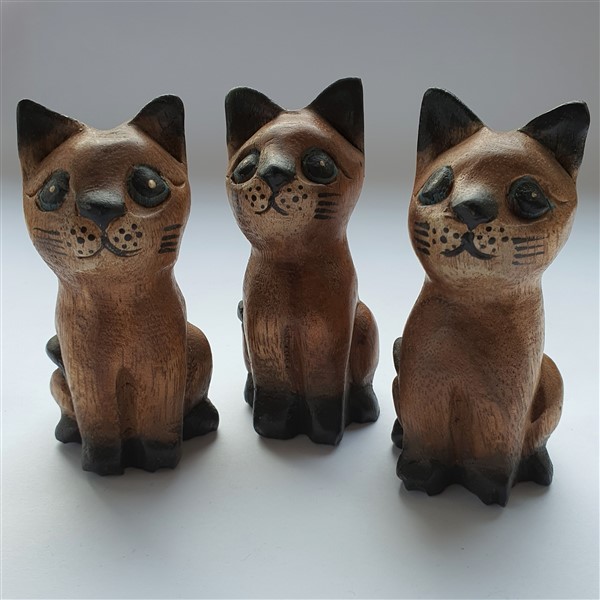 Katze, stehend