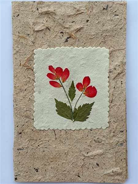 Grußkarte, "rote Blumen"